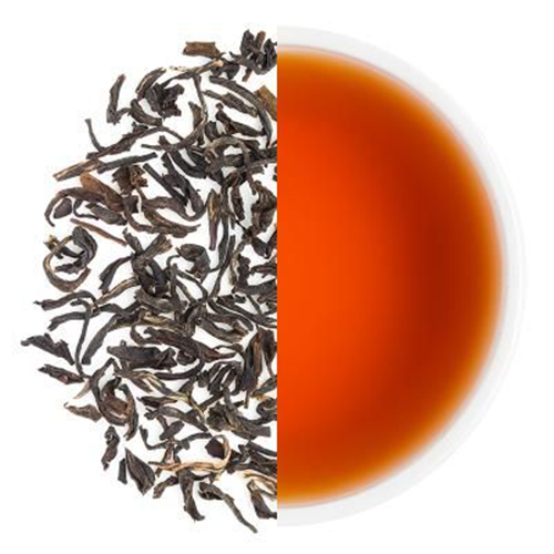 Luxury Villa Interior